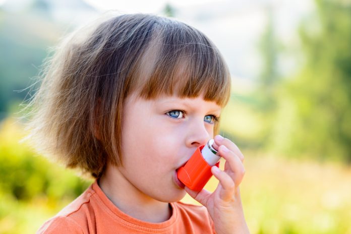 Inhalátory sú dôležitým nástrojom pri liečbe respiračných ochorení, medzi ktoré radíme napríklad astmu, alergie či bronchitídu.